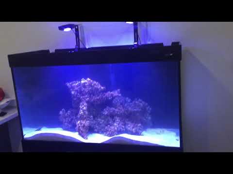 Setting up a pimped Aqua One Aquareef