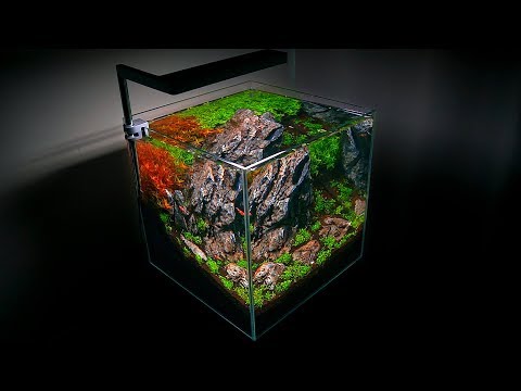 SETTING UP A SMALL AQUARIUM – NANO AQUASCAPE