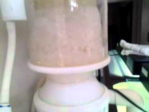 setting up bubble magus nac5e hob skimmer
