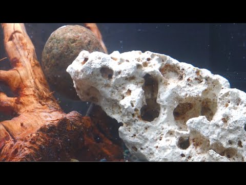 Setting up my new Aquarium || Juwel Primo 110l || Aquascape mode activated || Part 1