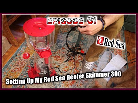 Setting Up My Red Sea Reefer Skimmer 300!