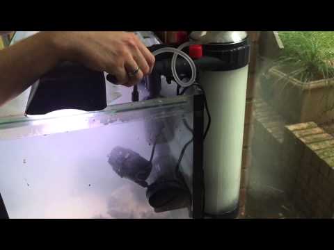 Setting up the Aqua One G series Skimmer