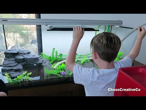 Setting up Turtle Tank – Pet Turtle set up environment – Eheim Classic 250 Filter