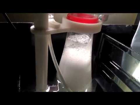 Setup Protein Skimmer Bubble Magus Curve 5 | Hasil Skimmate sudah kelihatan setelah 5 menit