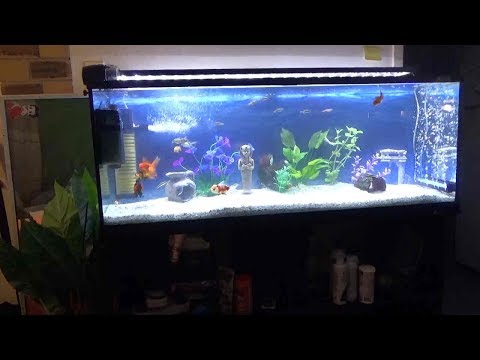 Shopping for Aqua One Horizon 182 Aquarium