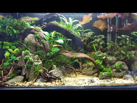 Should we buy a BBQ or a fishtank light? Kessil A160 Tuna Sun installation! Look at that shimmer!
