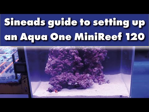 Sineads guide to setting up an Aqua One Mini Reef 120 Aquarium