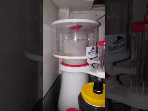 Skimmer bubble magus A9 uma hora de funcionamento