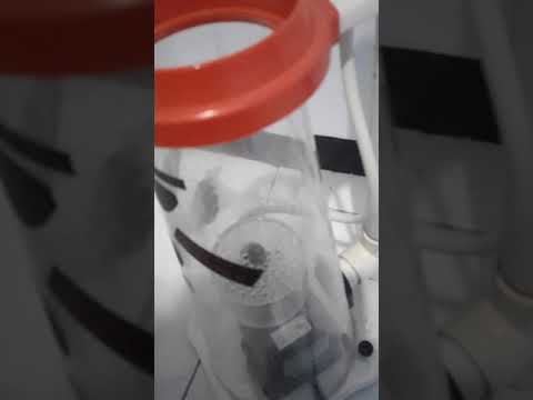 skimmer bubble magus c7 minus