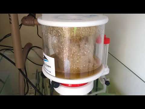 Skimmer Bubble Magus Curve A5