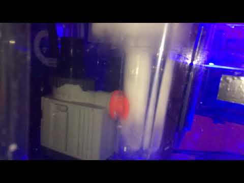 Skimmer bubble magus qq1
