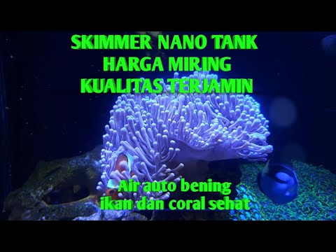 skimmer nano tank BUBBLE MAGUS NEW QQ