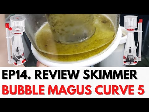 Skimmer Pabrikan Bisa Murah? Review Bubble Magus Curve 5 | EPS14 Reef Tank Series