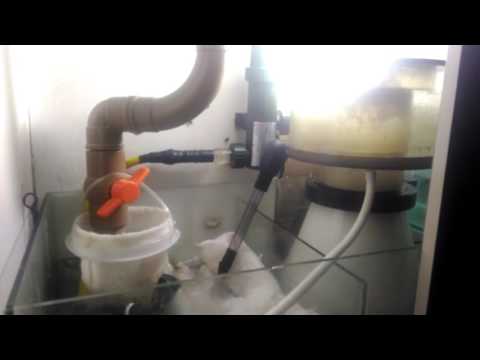 Skimmer reef octopus ps 5000- para aquarios de ate 2.000 litros