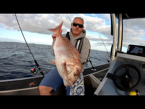 Softbaiting, dropping Occy's and chasing a few reefies along  Henderson's – Part 1