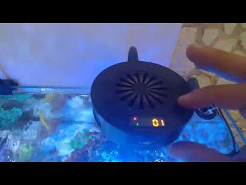 spectra Aqua knight V2