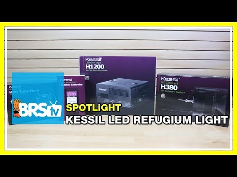 Spotlight on the Kessil H80, 380 and H1200 refugium lights | BRStv