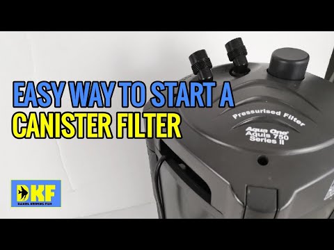 Start canister filter easiest way – no need to prime.