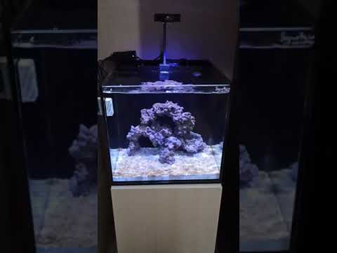 Starting a nano marine tank!!