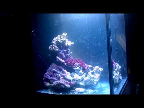 Stock Innovative Marine NUVO Fusion Nano 10 Water Flow