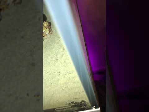 Strange phenomenon in the Aqua one mini reef 120.