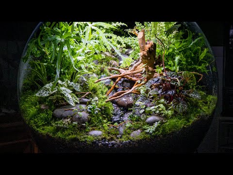 Stream Waterfall Terrarium (biOrb Version 3)