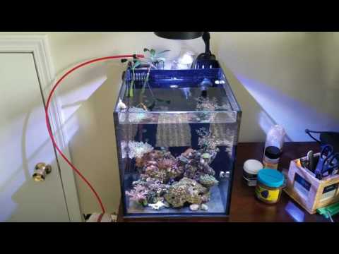 Suction cups suck. Reef Octopus complaint