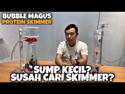SUMP KECIL? SUSAH CARI SKIMMER? | SOLUSI BUAT KALIAN YANG PUNYA KAPASITAS SUMP KECIL | BUBBLE MAGUS