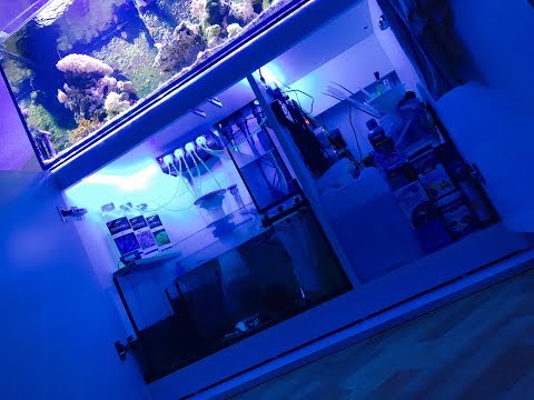 Sump / Technikbecken Red Sea Reefer 350