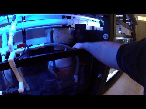 Super Reef Octopus EXT 6000 skimmer saltwater