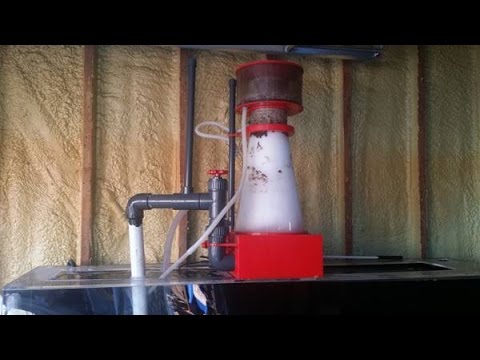 Super reef octopus XP5000 external protein skimmer