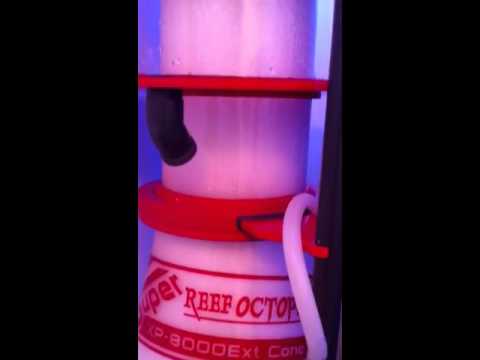 Super Reef Octopus XP8000