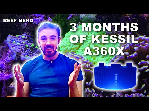Switching to Kessil – 3 Month Review of the A360X