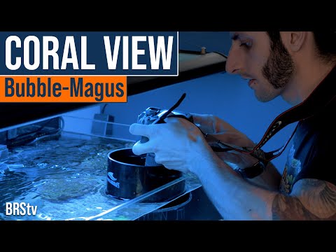 Take Photos of Your Reef Tank & Corals Like You've Never Seen Them Before! Bubble-Magus Coral View