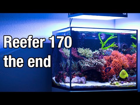 Taking down my Red Sea Reefer 170!
