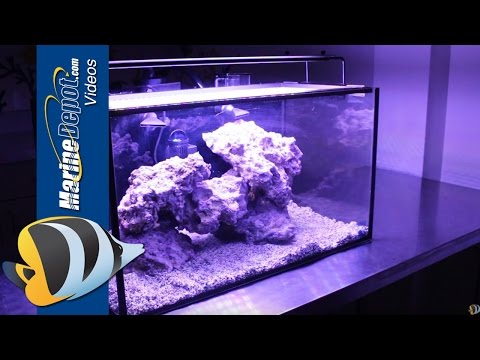 Tank Hacks: Easy Upgrades for Your Innovative Marine Fusion Nano 20