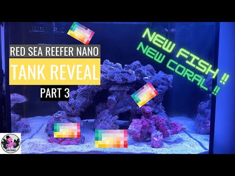 TANK REVEAL | RED SEA REEFER NANO 28G Part 3