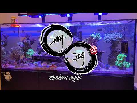 Tank Update But Only From The Top | Red Sea Reefer 525XL