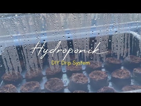 Teaser – Hydroponik Diy Drip System