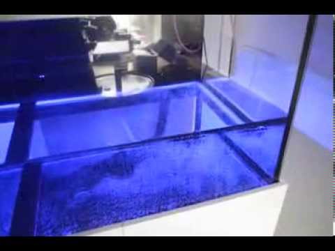 Test 1 kessil A350w
