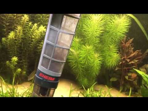 TEST EHEIM 3531 aspirateur aquarium