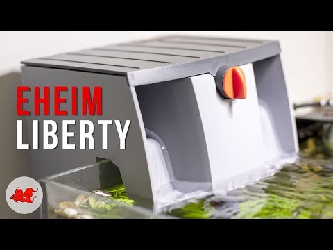Test filtre Eheim Liberty