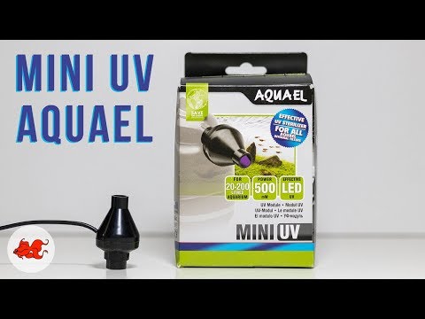 Test Mini UV Aquael