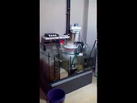Test Odpieniacza Białek Bubble Magus Curve 29/Test Protein Skimmer Bubble Magus curve 29