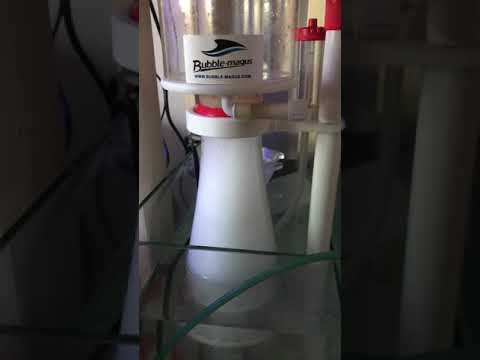 Test skimmer bubble magus c5