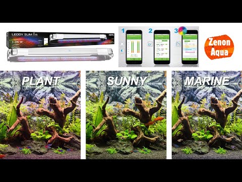 Test & Unboxing Aquael Leddy Slim link 36W Wifi – Lampa LED do akwarium