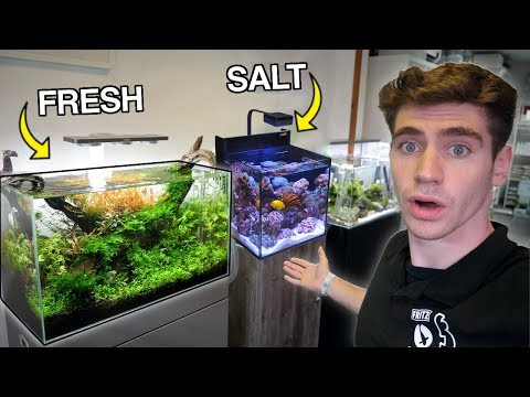 The *BEST* Aquariums in England…  (Freshwater & Saltwater)