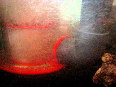 The Complete Reef – CoralVue Reef Octopus XS Extreme 200 with the new Sicce PSK-1000 Pump.avi