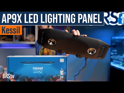 The Kessil AP9X…Your Rectangular Reef Tank's Dream Come True For A Properly Sized LED Light!