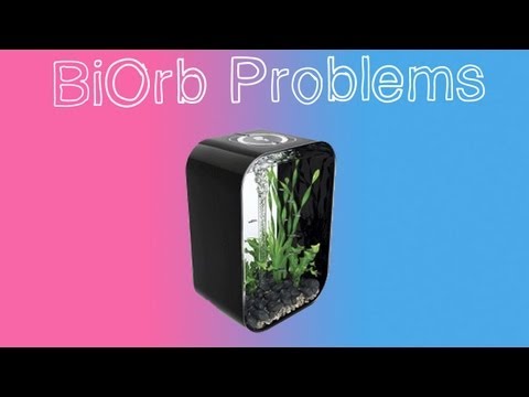 The problem with biorbs is…